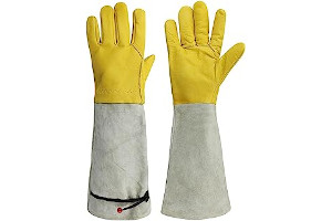 51bXWE7QmYL._AC_UL320_