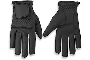 51hCzydf1jL._AC_UL320_