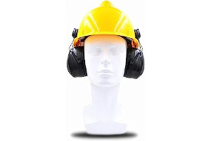 51nBG6GdRjL._AC_UL320_