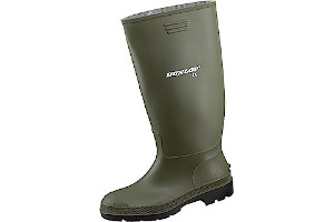 61-U2N-APLL._AC_UL320_