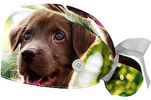 Ropa Trabajo Mujer Joven 61OxuWjCV9L._AC_UL320_