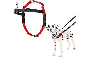 Arnes Mca 713xSikvV7L._AC_UL320_