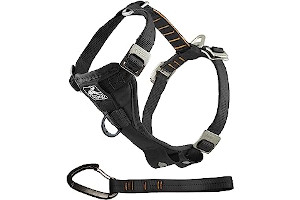 71CB+m5CTaL._AC_UL320_