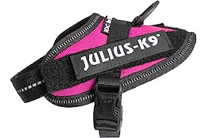 Arnes Clase 1 71jWKdAuqhL._AC_UL320_