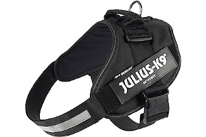 Arnes Clase 3 81C3BMhkccL._AC_UL320_