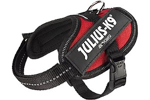 81ZOUzOzM+L._AC_UL320_