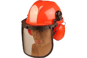 81gqY5Gk+2L._AC_UL320_