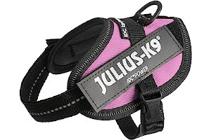 Arnes Clase A 81kdwISgpKL._AC_UL320_